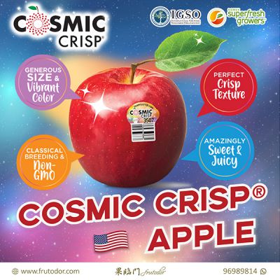 USA Washington Cosmic Crisp® Apple (Box) (64PCS/19KG)