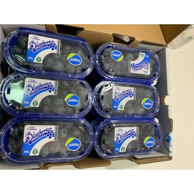 澳洲 珍寶藍莓(COSTA) 200克/盒