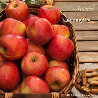 USA Washington Autumn Glory®  Apple (Box) (113-125PCS/19KG)