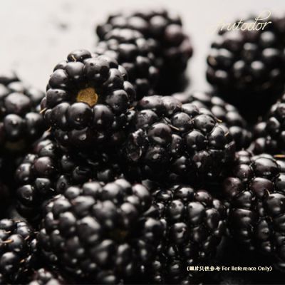 USA California Blackberries (Box) (12Packs/1.5KG)