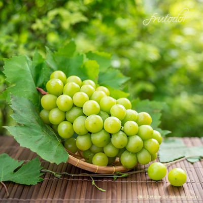 Japanese Yamanashi Shine Muscat Grapes (8-10Bunches/5KG)