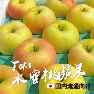 日本翠喬蘋果 40個/箱 