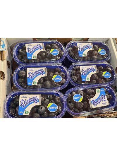 澳洲 珍寶藍莓(Costa) 2.4公斤 12盒(200克)/箱