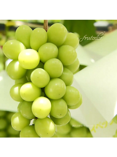 Japan Shine Muscat Grape 5k 8-9pcs/box