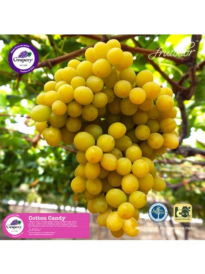 USA California  Cotton Candy® Seedless Green Grapes (4Packs/8lbs)